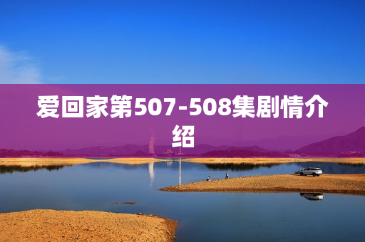 爱回家第507-508集剧情介绍