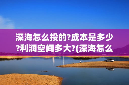 深海怎么投的?成本是多少?利润空间多大?(深海怎么玩)