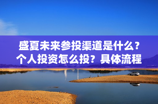 盛夏未来参投渠道是什么？个人投资怎么投？具体流程是什么?(盛夏未来发行公司)