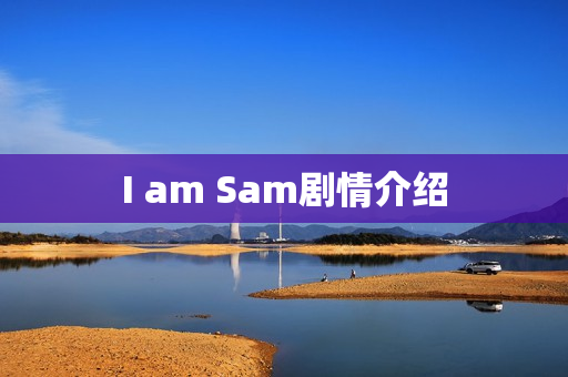 I am Sam剧情介绍