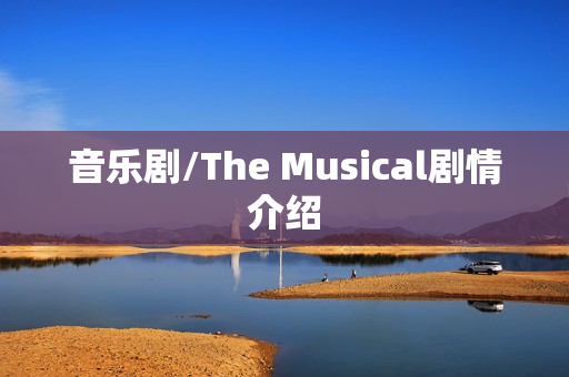 音乐剧/The Musical剧情介绍