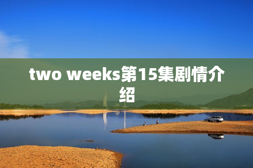 two weeks第15集剧情介绍