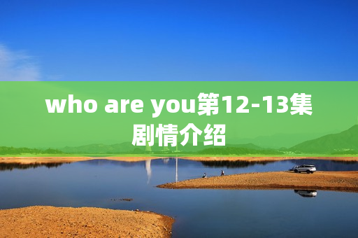 who are you第12-13集剧情介绍