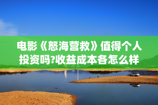 电影《怒海营救》值得个人投资吗?收益成本各怎么样?(电影怒海营救总投资)