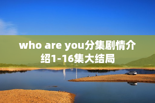 who are you分集剧情介绍1-16集大结局