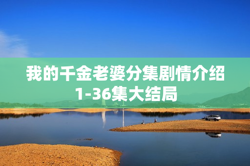 我的千金老婆分集剧情介绍1-36集大结局