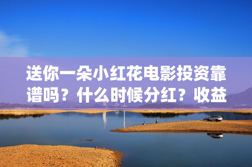 送你一朵小红花电影投资靠谱吗？什么时候分红？收益怎么算(送你一朵小红花结局)