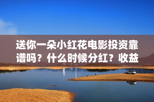 送你一朵小红花电影投资靠谱吗？什么时候分红？收益怎么算(送你一朵小红花电影)