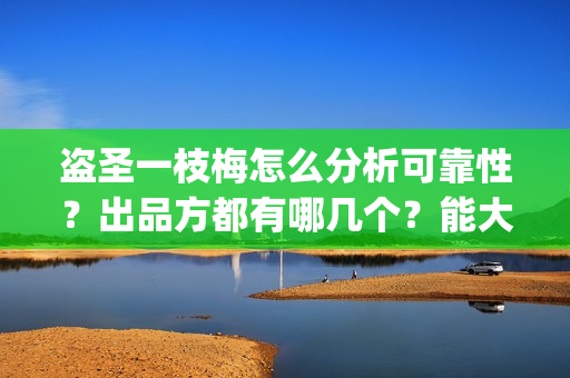 盗圣一枝梅怎么分析可靠性？出品方都有哪几个？能大卖吗？(一枝梅和逆贼)