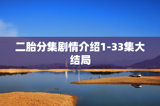 二胎分集剧情介绍1-33集大结局