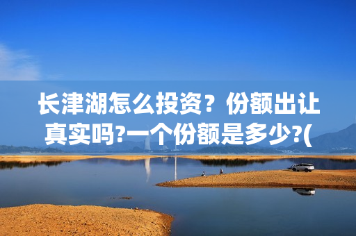 长津湖怎么投资？份额出让真实吗?一个份额是多少?(长津湖投资门槛高)