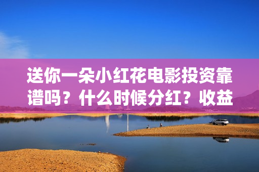 送你一朵小红花电影投资靠谱吗？什么时候分红？收益怎么算(送你一朵小红花歌词)