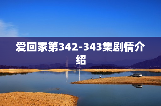 爱回家第342-343集剧情介绍