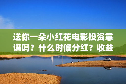 送你一朵小红花电影投资靠谱吗？什么时候分红？收益怎么算(送你一朵小红花免费观看完整版)