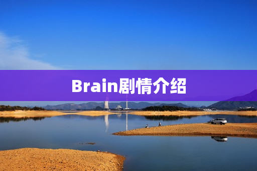 Brain剧情介绍