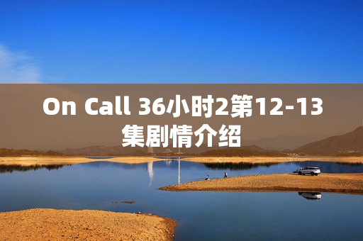 On Call 36小时2第12-13集剧情介绍