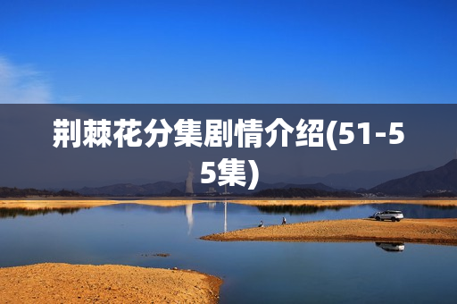 荆棘花分集剧情介绍(51-55集)