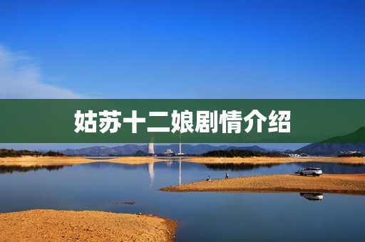 姑苏十二娘剧情介绍