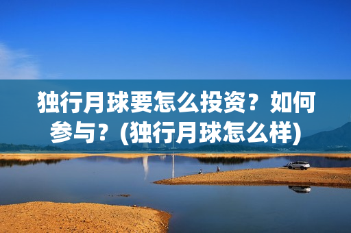 独行月球要怎么投资？如何参与？(独行月球怎么样)