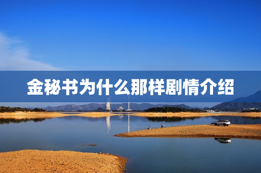 金秘书为什么那样剧情介绍