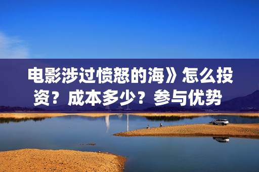 电影涉过愤怒的海》怎么投资？成本多少？参与优势 (电影涉过愤怒的海表达了什么)