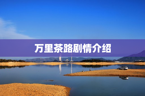 万里茶路剧情介绍