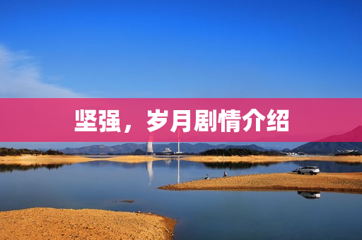 坚强，岁月剧情介绍