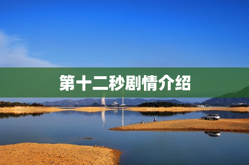 第十二秒剧情介绍