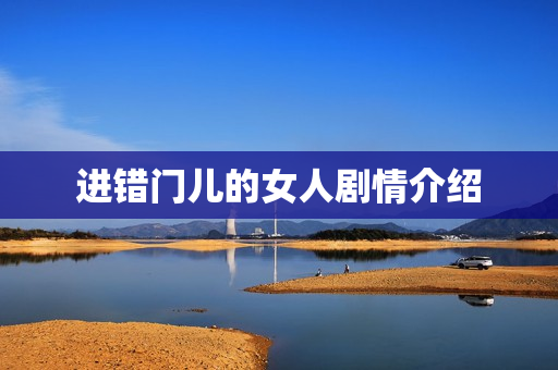 进错门儿的女人剧情介绍