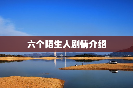 六个陌生人剧情介绍