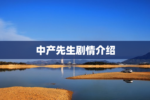 中产先生剧情介绍