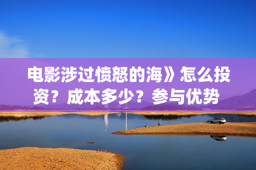 电影涉过愤怒的海》怎么投资？成本多少？参与优势 (电影涉过愤怒的海讲了什么)