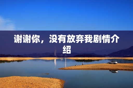 谢谢你，没有放弃我剧情介绍