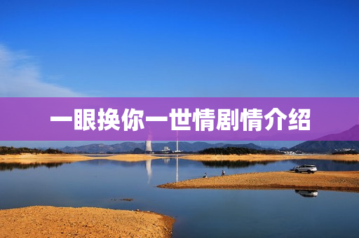 一眼换你一世情剧情介绍
