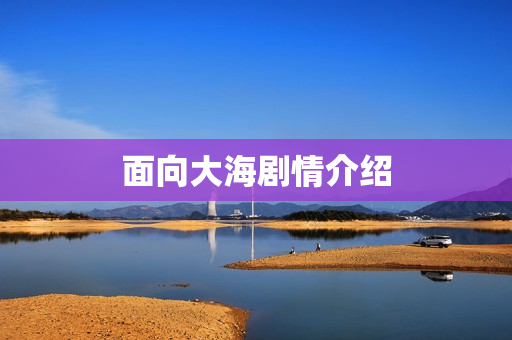 面向大海剧情介绍