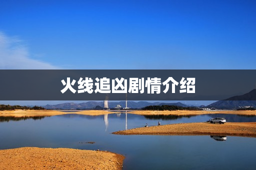 火线追凶剧情介绍