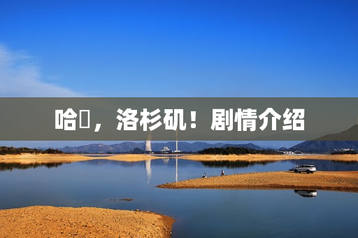 哈啰，洛杉矶！剧情介绍