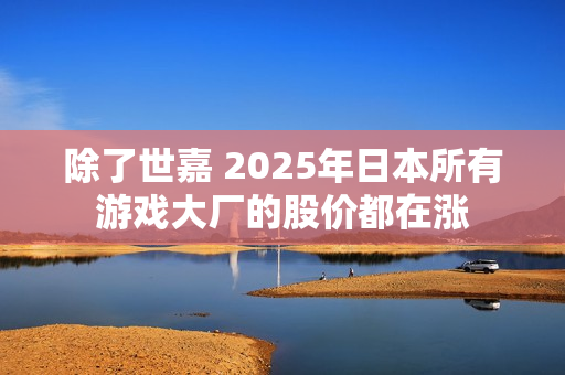 除了世嘉 2025年日本所有游戏大厂的股价都在涨