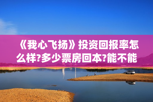《我心飞扬》投资回报率怎么样?多少票房回本?能不能赚钱?(电影我心飞扬)
