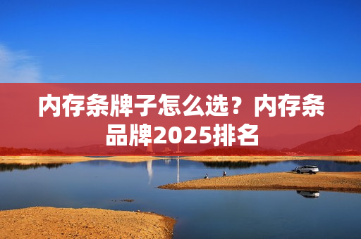 内存条牌子怎么选？内存条品牌2025排名