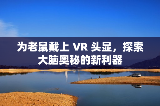为老鼠戴上 VR 头显，探索大脑奥秘的新利器