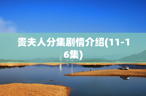 贵夫人分集剧情介绍(11-16集)