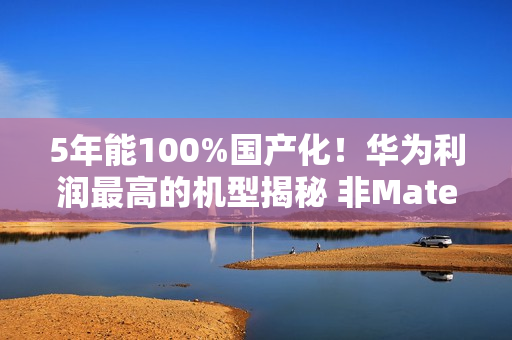 5年能100%国产化！华为利润最高的机型揭秘 非Mate 60系