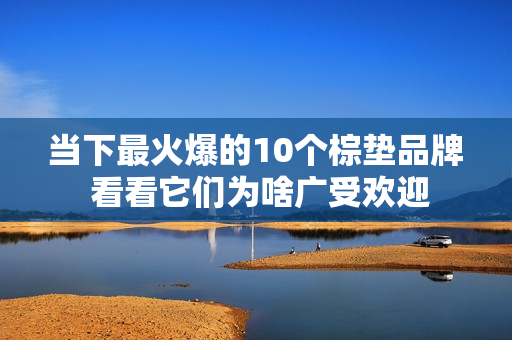 当下最火爆的10个棕垫品牌 看看它们为啥广受欢迎