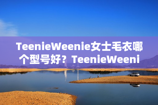 TeenieWeenie女士毛衣哪个型号好？TeenieWeenie女士毛衣热卖产品推荐