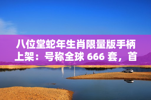 八位堂蛇年生肖限量版手柄上架：号称全球 666 套，首发价 198 元