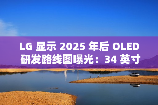 LG 显示 2025 年后 OLED 研发路线图曝光：34 英寸 WUHD 240Hz 下半年亮相