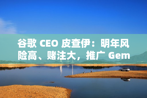 谷歌 CEO 皮查伊：明年风险高、赌注大，推广 Gemini 是首要任务