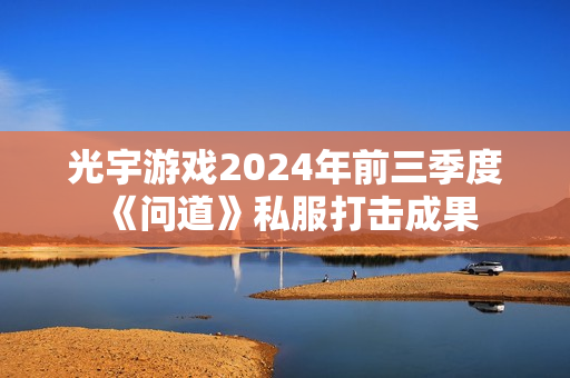 光宇游戏2024年前三季度《问道》私服打击成果