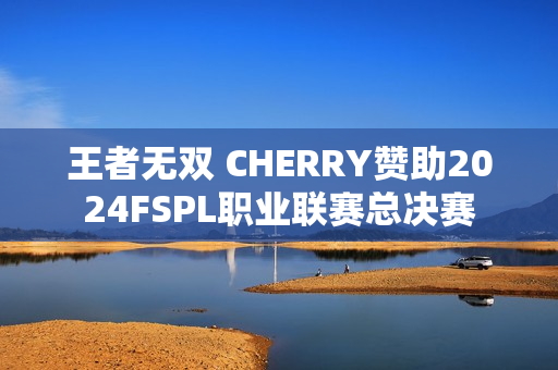 王者无双 CHERRY赞助2024FSPL职业联赛总决赛